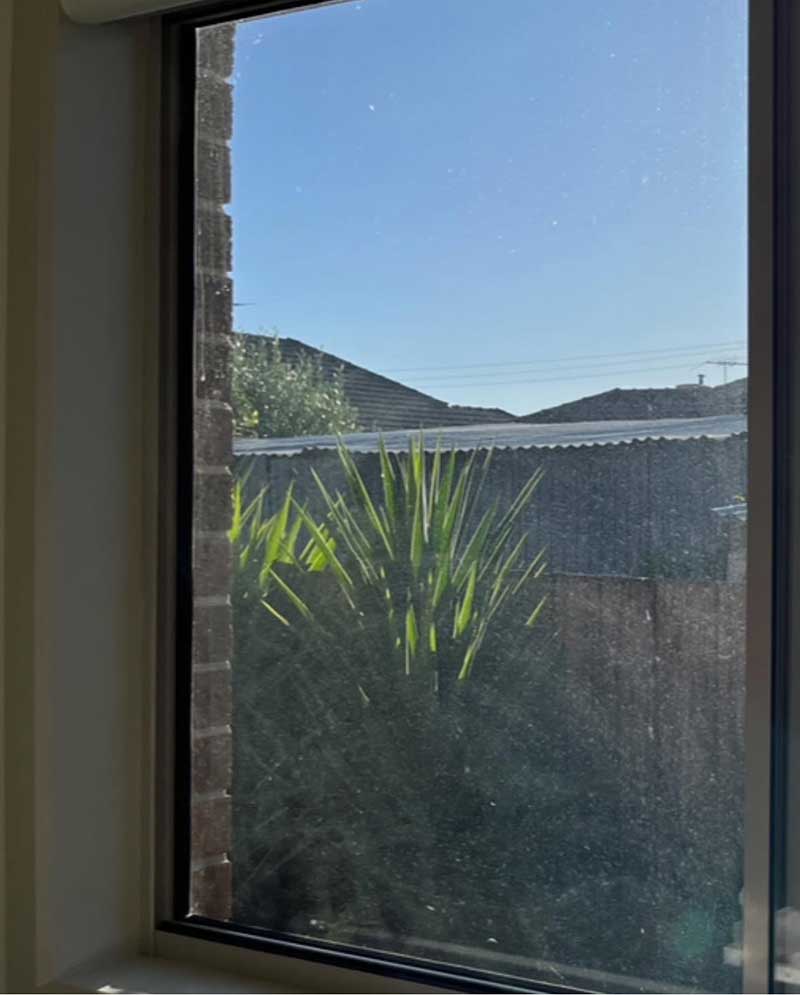 before-and-after-window-cleaning