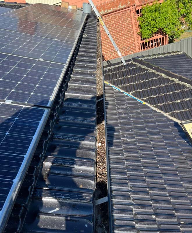 bird-proofing-solar-panels-adelaide