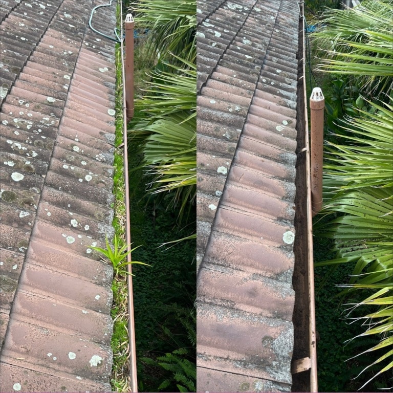gutter cleaning Adelaide Aiden 08