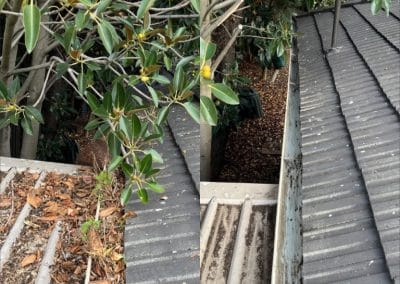 gutter cleaning Adelaide