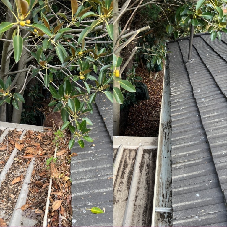 gutter cleaning Adelaide Aiden 11