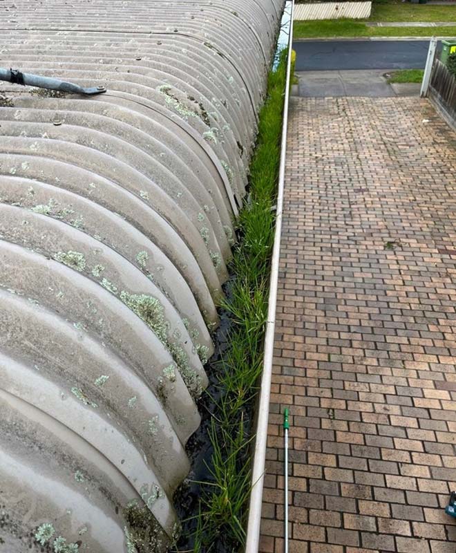 gutter-cleaning-services-Adelaide-before2