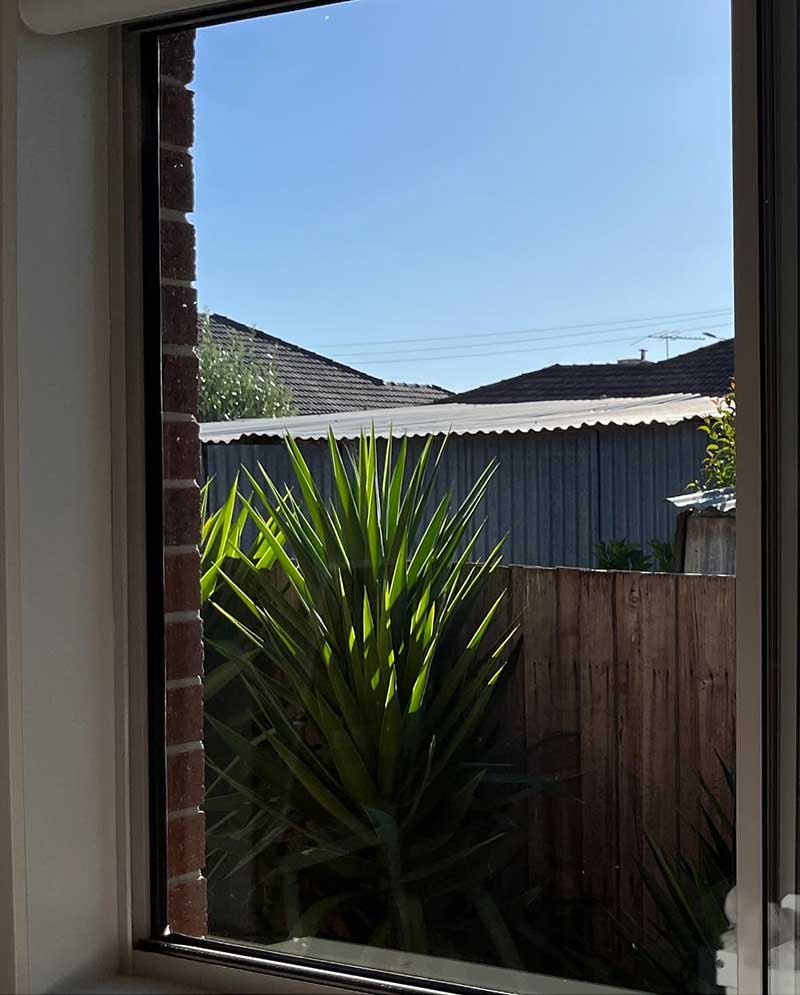 window-cleaning-after-Adelaide